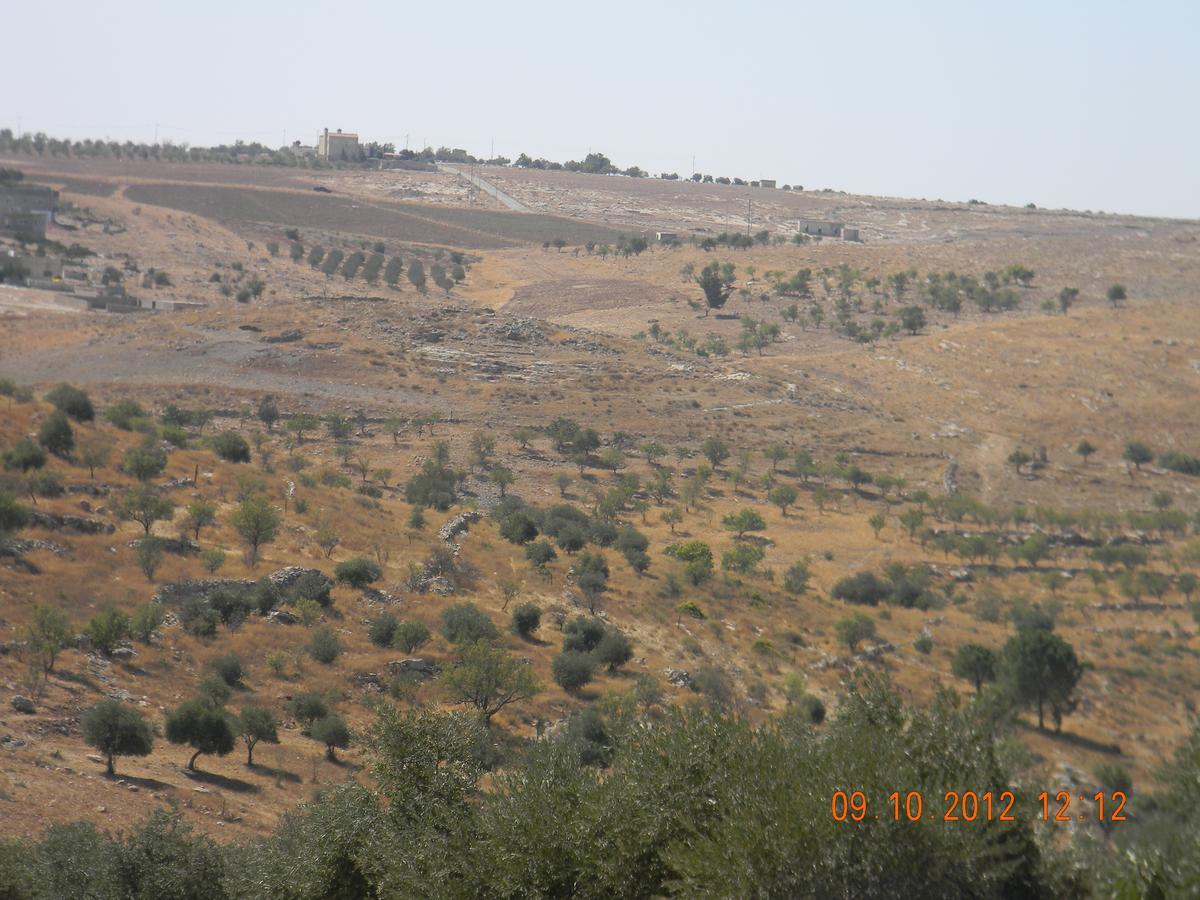 Town Of Mount Nebo Villa Madaba Eksteriør bilde