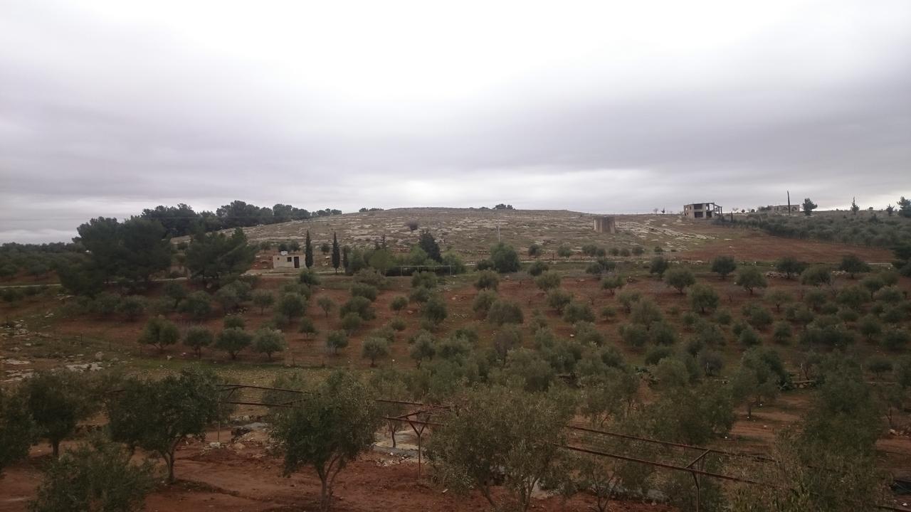 Town Of Mount Nebo Villa Madaba Eksteriør bilde