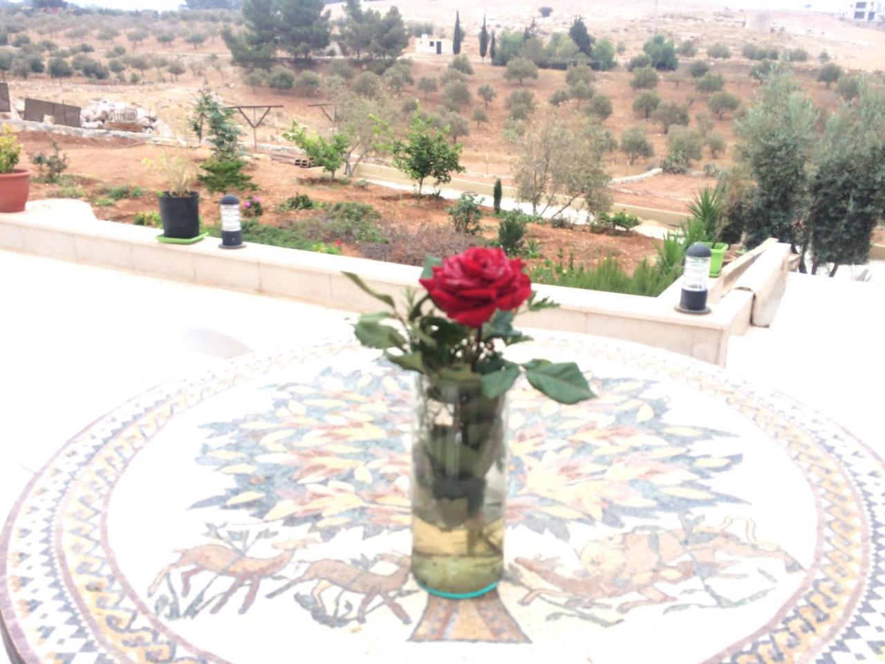 Town Of Mount Nebo Villa Madaba Eksteriør bilde